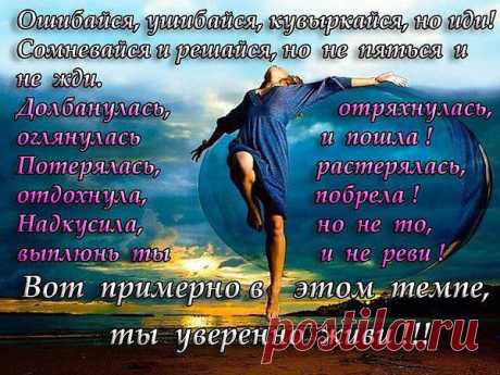 Антонина: ЖИВУ, ЦВЕТУ и ХОРОШЕЮ! О том, что было — не жалею! О том, что будет — не гадаю! А то, что есть — я обожаю!!!