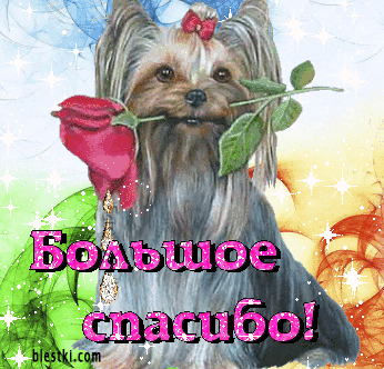 Все новости на одном сайте
