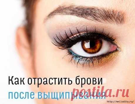 КАК ОТРАСТИТЬ БРОВИ ПОСЛЕ ВЫЩИПЫВАНИЯ