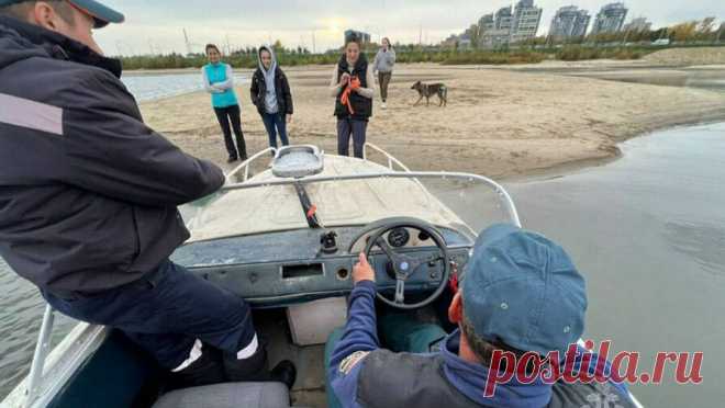 Жители Казани приняли сгоревшее бревно на реке за собаку и вызвали МЧС. В Казани сотрудникам МЧС поступил вызов от местных жителей с просьбой спасти собаку, которая застряла на отмели реки. Прибывшие на место спасатели вместо животного обнаружили обгоревшее бревно. О случае рассказали в пресс-службе ГУ МЧС РФ ...