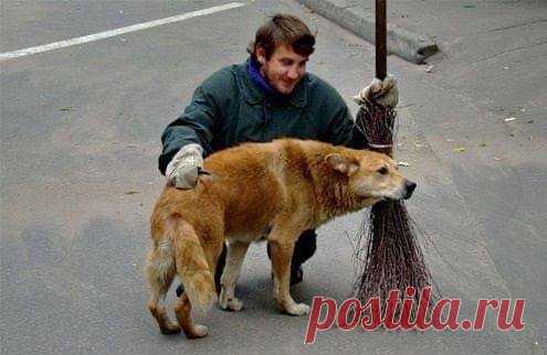 ПРОФЕССОРСКО - ПРЕПОДАВАТЕЛЬСКИЙ СОСТАВ. ОЛЕГ БОНДАРЕНКО