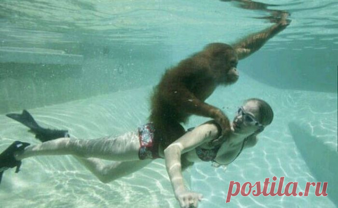 Читайте с удовольствием!!! Отличного юмора пост;))