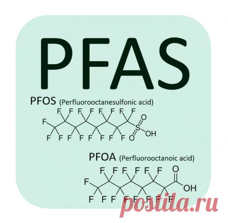 7 фактов о «вечных химических веществах», обнаруженных в крови каждого человека