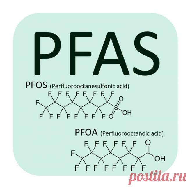 7 фактов о «вечных химических веществах», обнаруженных в крови каждого человека