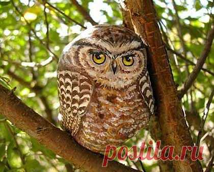 Такой мастер-класс росписи по камню обогатит вас | Заметки Мастеру | Домашние полезные советы