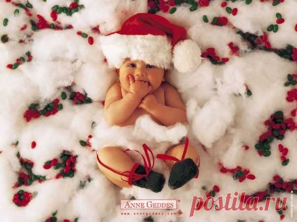 Anne Geddes | 84 фотографии