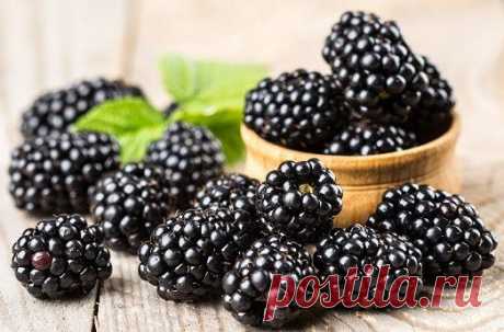 Вкусные рецепты