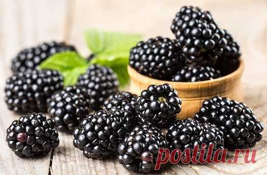 Вкусные рецепты