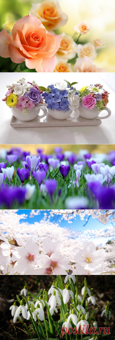 С первым днем весны друзья!Расцветайте как цветы!Всем добра!