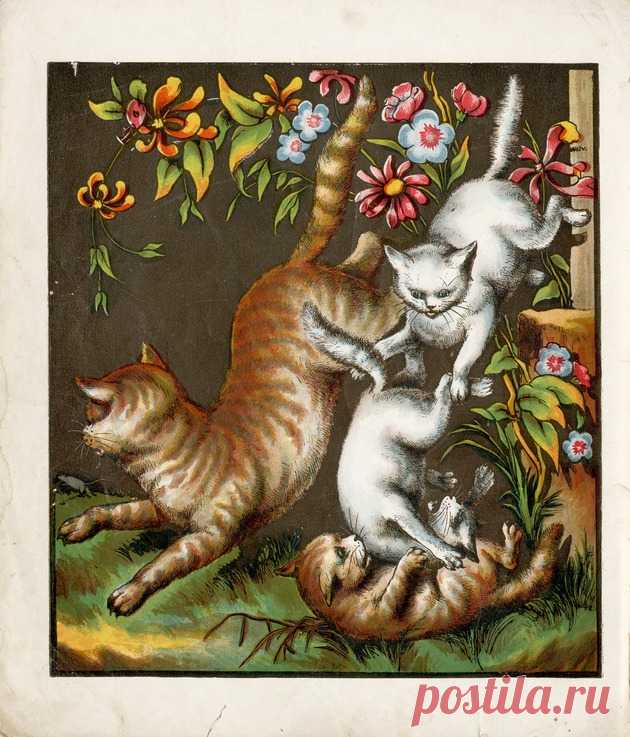 3 little kittens.