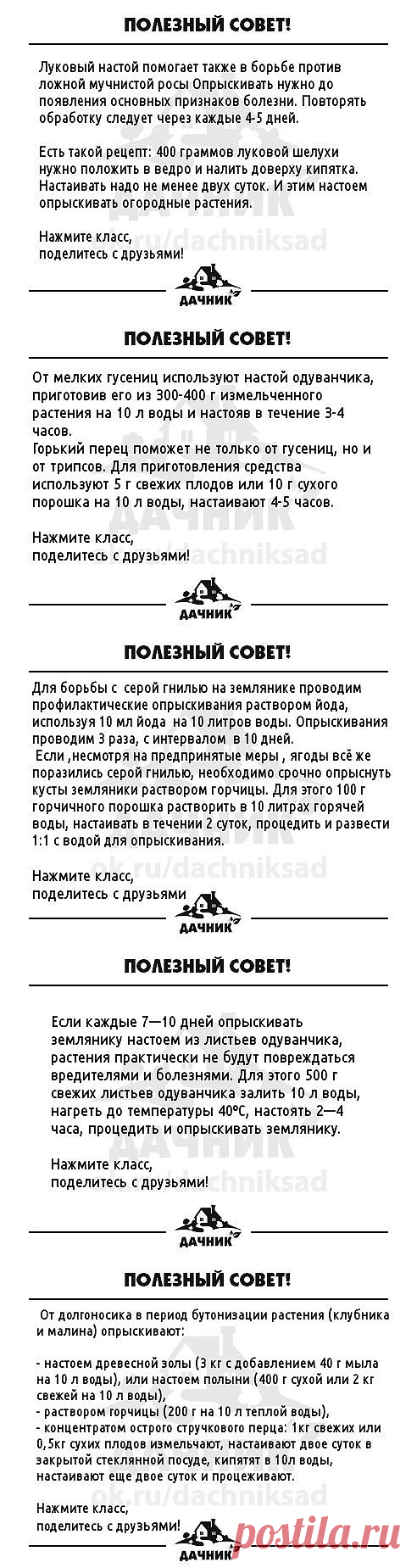 (75) Одноклассники