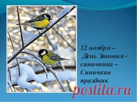 12 ноября - Синичкин день.