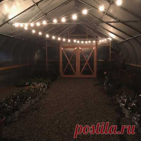 Sneak peak! No tables yet (in fact the structure itself isn't finished), but it's getting there and I'm lovin' it! We'll give you a full video tour when it's done! (Had to add the patio lights for effect...) 😆😍🌿