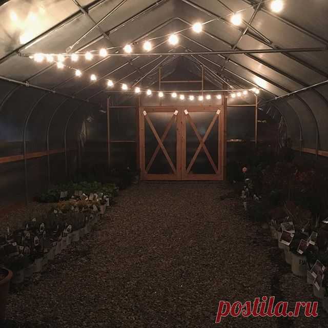 Sneak peak! No tables yet (in fact the structure itself isn't finished), but it's getting there and I'm lovin' it! We'll give you a full video tour when it's done! (Had to add the patio lights for effect...) 😆😍🌿