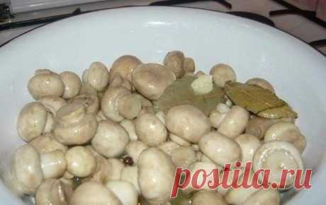 Маринуйте грибы сами
