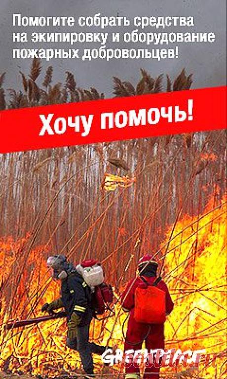 Trojan.Mayachok.1 — что за напасть и как не пропасть?