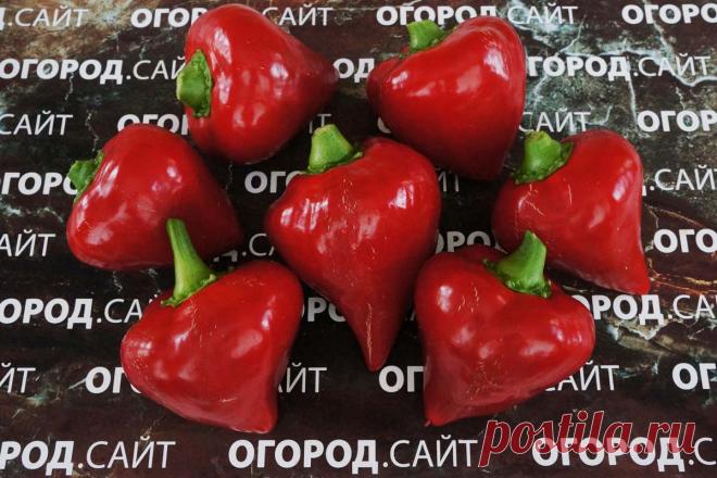 Перец Леся красная, семена купить | ОГОРОД.сайт