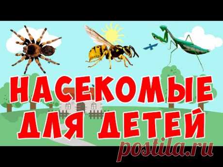 Учим насекомых | развивающий мультфильм | животные для детей - YouTube
