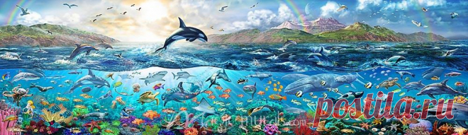 Debzzzzz - Underwater - Ocean Panorama