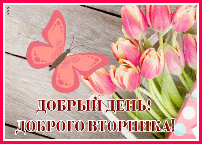 Неповторимая гиф-открытка, добрый день и доброго вторника