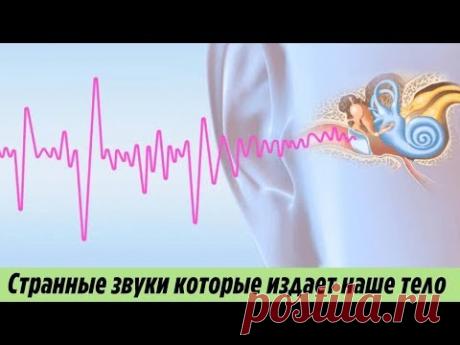 ТОП 6 Странных ЗВУКОВ которые может издавать наше тело Самые интересные факты о нашем организме - YouTube