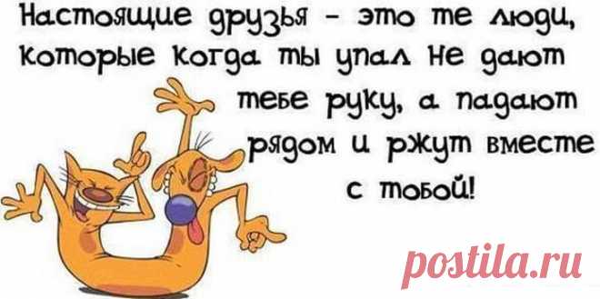 Настоящие друзья не будут тебя поднимать, если ты упал, а упадут рядом и будут ржать вместе с тобой!