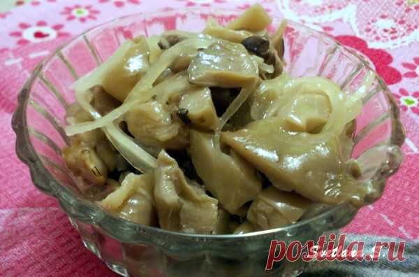Вешенки маринованные – Быстро и вкусно, пользователь Светлана Савенкова | Группы Мой Мир