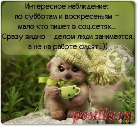 ПОЗИТИВНЫЕ ФРАЗОЧКИ ДЛЯ ХОРОШЕГО НАСТРОЕНИЯ!!!!!