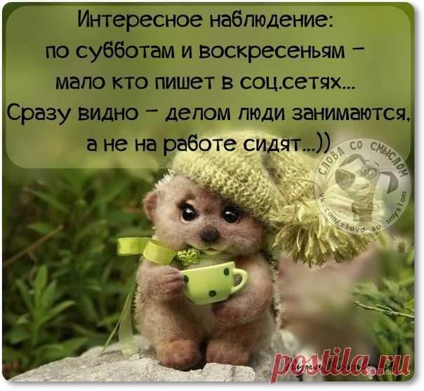 ПОЗИТИВНЫЕ ФРАЗОЧКИ ДЛЯ ХОРОШЕГО НАСТРОЕНИЯ!!!!!