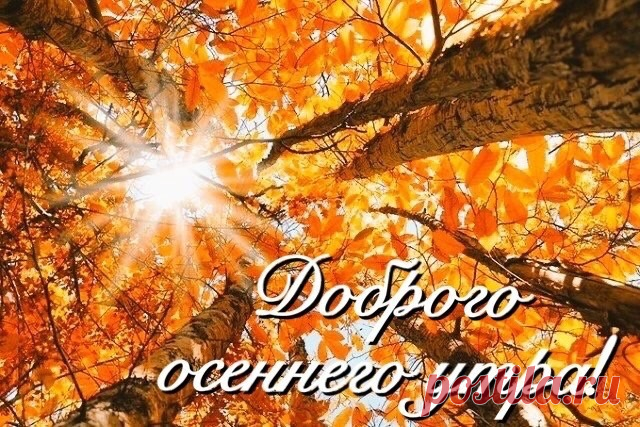 Доброе утро друзья 💜
Прекрасного настроения и чудесного дня !
У каждого дня есть удивительное свойство - напоминать нам о Главном...И в первую очередь о том,что Жизнь продолжается!
Только человеческое тепло придаетсмысл каждой минуте жизни...Редкое, как розовые бриллианты, ценное, как сама жизнь...Его никогда не бывает много и никогда
не бывает достаточно...
Осени вам тёплой без Дождей,
Без Хандры,Депрессии и Скуки,
Из-за Туч всем солнечных Лучей,
И чтоб рядом грели чьи-то Руки..