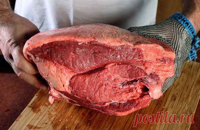 Записки мясника