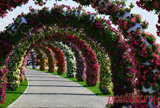 Dubai Miracle Garden - цветочное царство среди пустыни!