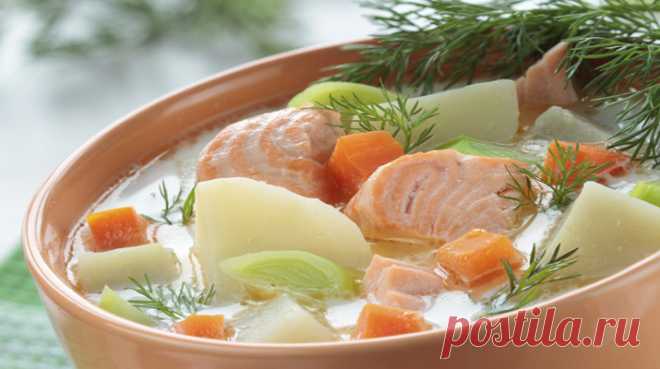 Очень вкусная уха с семгой - saitkulinarii.info