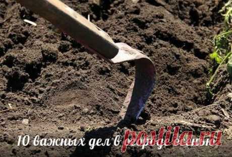 10 важных дел в огороде осенью