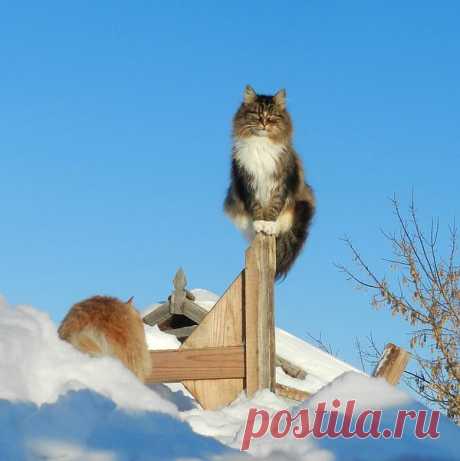 вот замело , и хозяева внутри , и что ж теперь делать ? это всё нам придёться разгребать что ли? лежали бы уж лучше на печи , до марта , нет приспичило на свидание идти ! вот и мёрзни теперь!