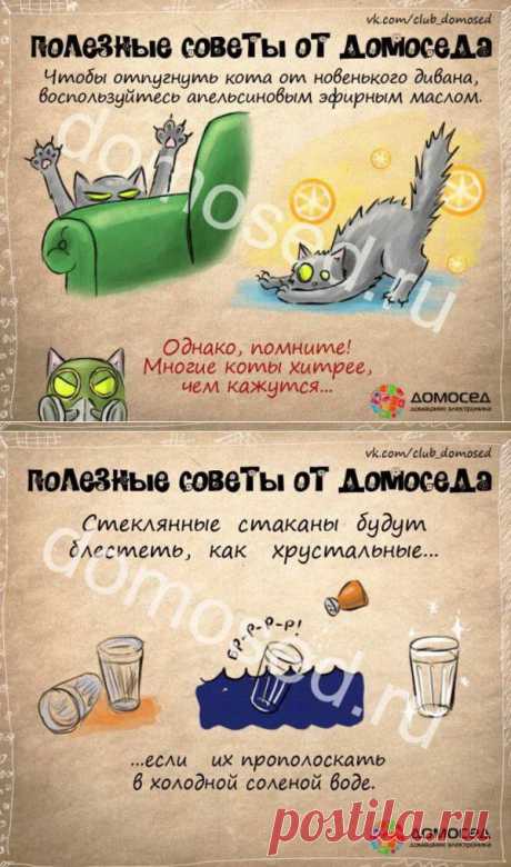 ПОЛЕЗНЫЕ СОВЕТЫ ОТ ДОМОСЕДА IV.
