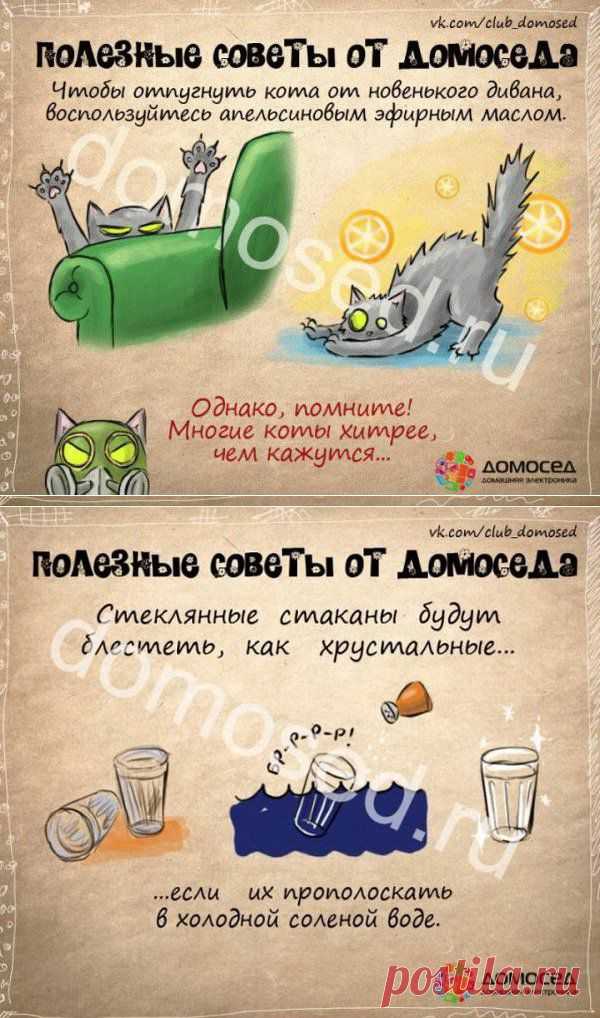 ПОЛЕЗНЫЕ СОВЕТЫ ОТ ДОМОСЕДА IV.