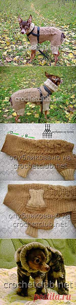 Вязаный костюм для собачки - Вязание Крючком. Блог Настика