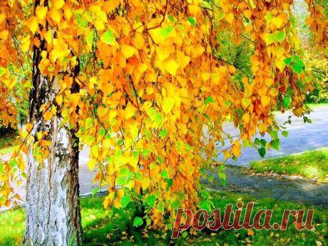 Мой Мир@Mail.Ru