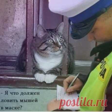 Галина Шаталова - Москва, Россия, 82 года на Мой Мир@Mail.ru
