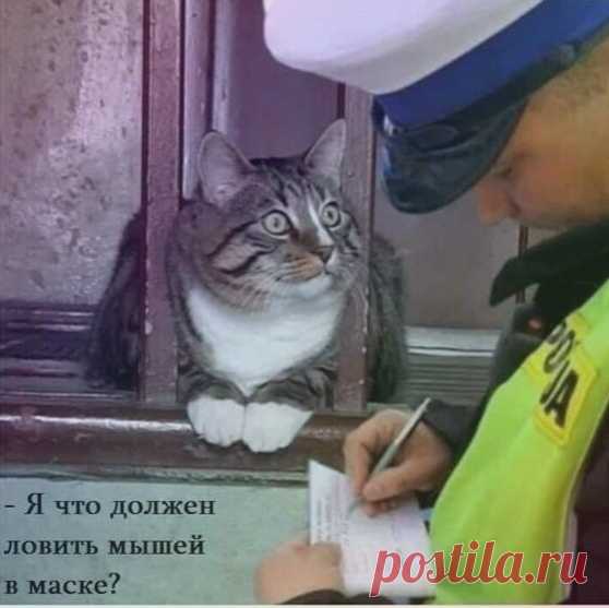 Галина Шаталова - Москва, Россия, 82 года на Мой Мир@Mail.ru