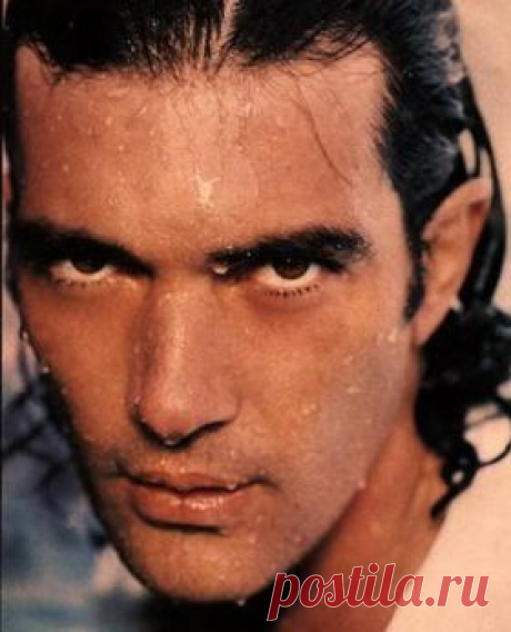 Антонио Бандерас / Antonio Banderas