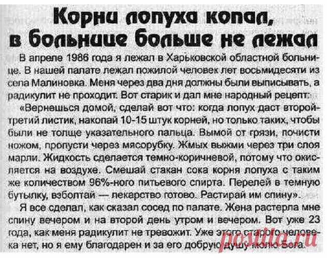 Корень лопуха от радикулита