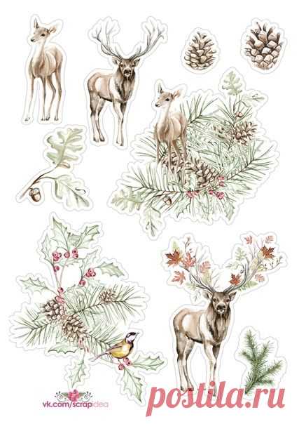 (9) Pinterest