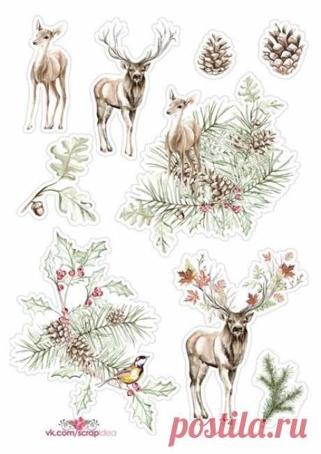 (115) Pinterest