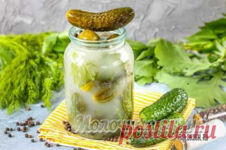 Огурцы с горчицей на зиму – 14 самых вкусных рецептов Лучшие рецепты заготовки огурцов с горчицей на зиму. Способы приготовления маринованных, квашеных, соленых огурчиков со стерилизацией и без нее.