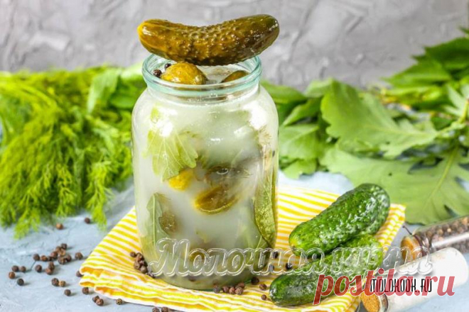 Огурцы с горчицей на зиму – 14 самых вкусных рецептов Лучшие рецепты заготовки огурцов с горчицей на зиму. Способы приготовления маринованных, квашеных, соленых огурчиков со стерилизацией и без нее.