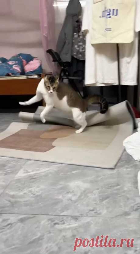 Добра утра, Котики! 😉😍