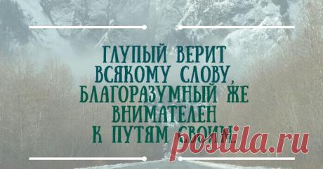 30 Мудрых мыслей царя Соломона