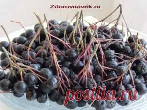 Черноплодная рябина лечебные свойства